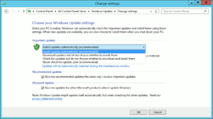 図7.Set Windows Update Manually