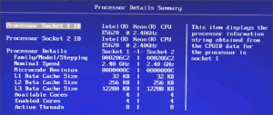 図08.BIOS Processor Detail
