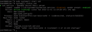 図11.sshサービスを開始