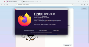 図2.Snap版Firefox