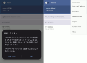 図09.tailscaleアプリ接続オプション