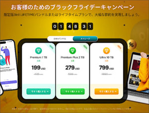 図1.pCloud Black Friday Campaign