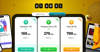 図1.pCloud Black Friday Campaign