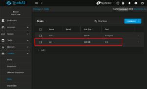 図19.TrueNAS Disks