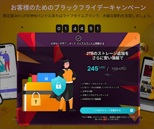 図3.pCloud 決済完了